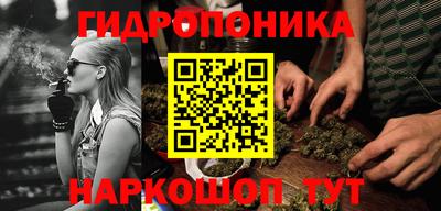 apvp Тулун