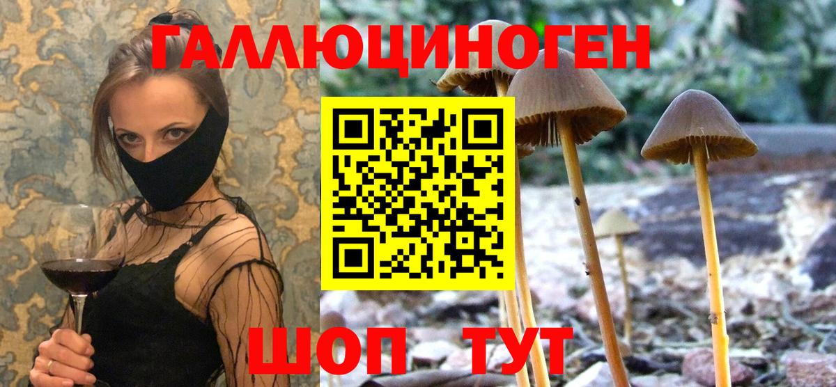 Псилоцибиновые грибы Psilocybine cubensis Набережные Челны