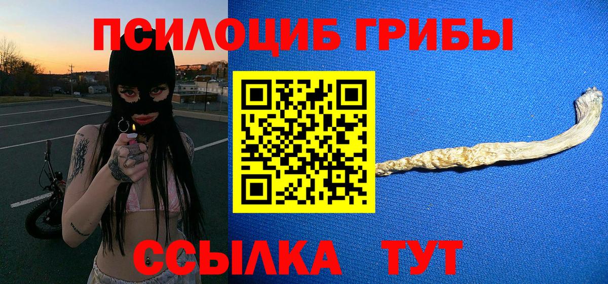 Галлюциногенные грибы Psilocybe  Галлюциногенные грибы мухоморы  Набережные Челны  Вход с VPN 